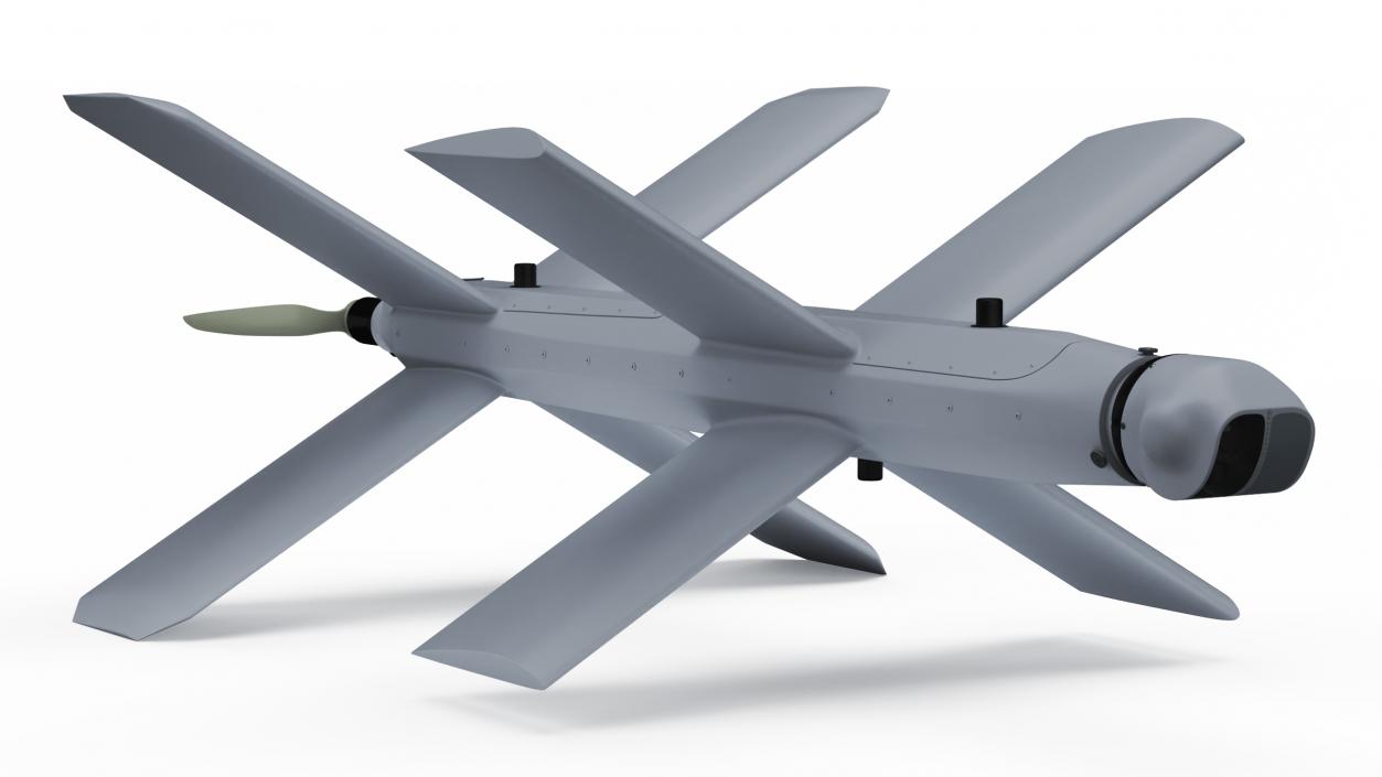 Kamikaze Attack Unmanned Aerial Vehicle 3D model