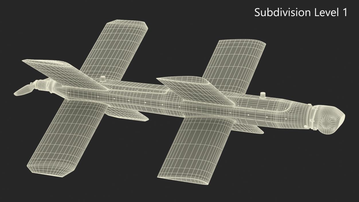 Kamikaze Attack Unmanned Aerial Vehicle 3D model