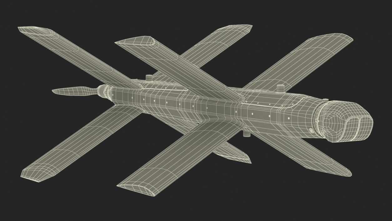 Kamikaze Attack Unmanned Aerial Vehicle 3D model