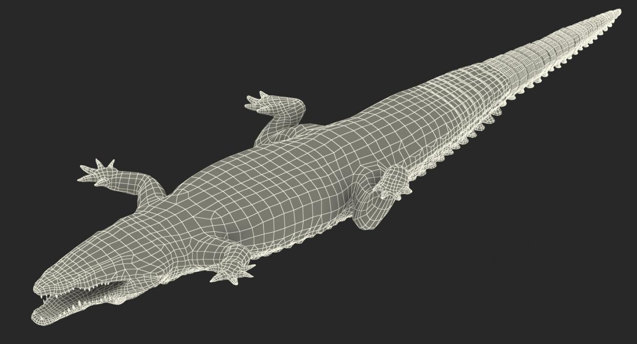 Crocodile 3D model