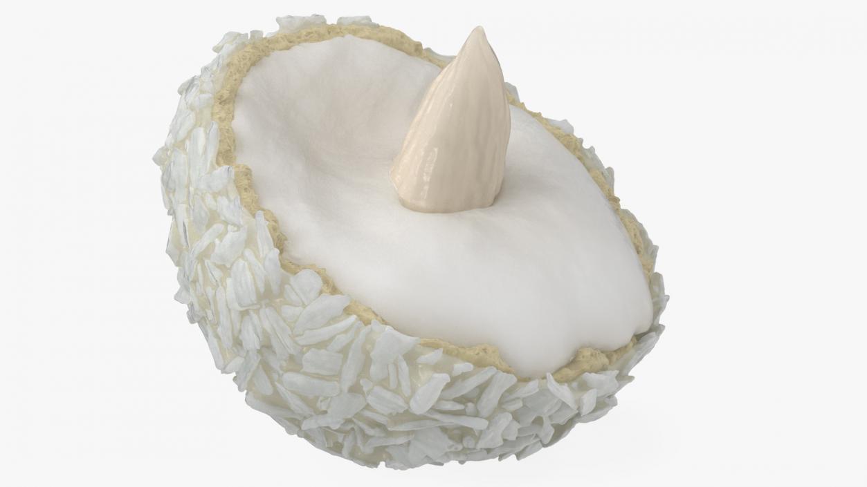 Half of Coconut White Chocolate Candy Ball 3D