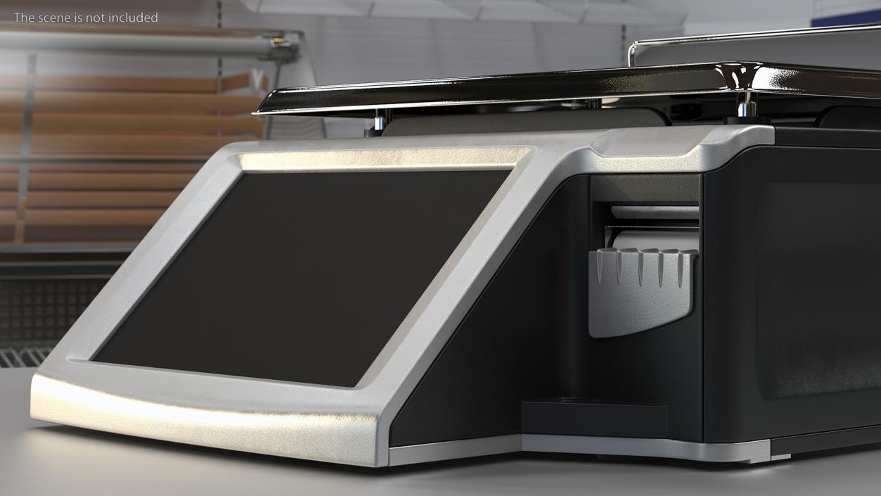 Self Service Scales 3D model