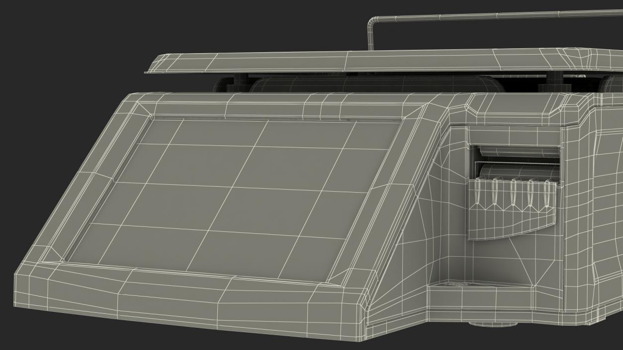 Self Service Scales 3D model