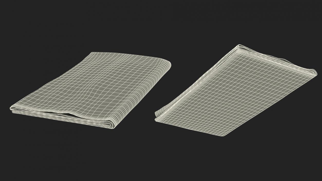 Folded Fabric Towel 3D model