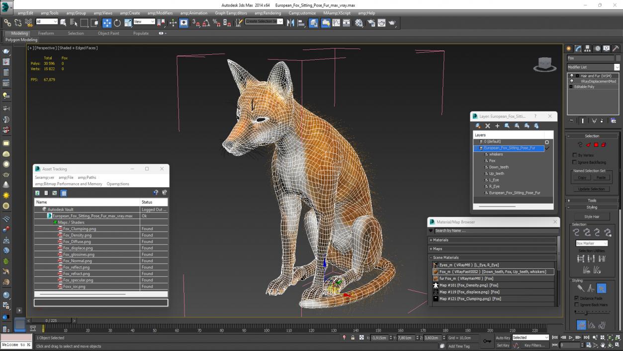 European Fox Sitting Pose Fur 3D model