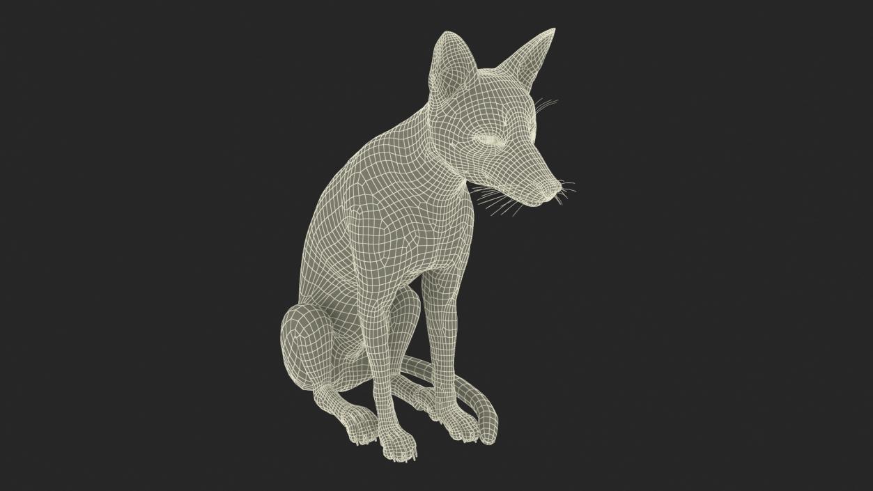 European Fox Sitting Pose Fur 3D model