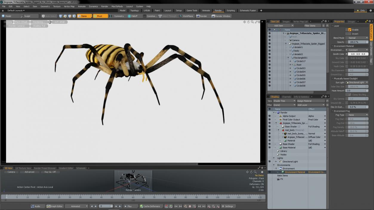 Argiope Trifasciata Spider Rigged for Modo 3D