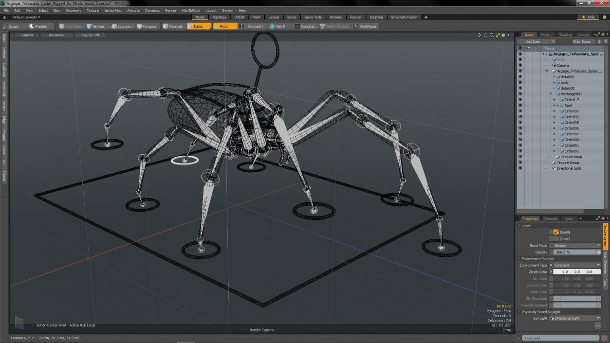 Argiope Trifasciata Spider Rigged for Modo 3D