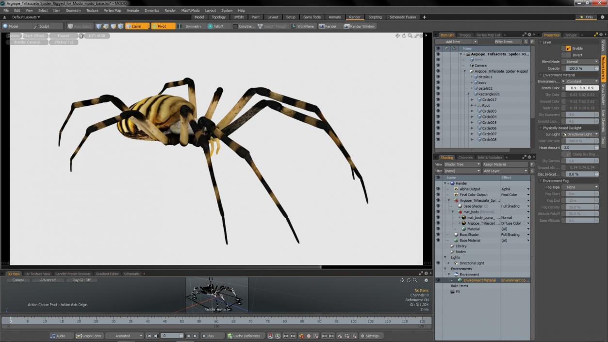 Argiope Trifasciata Spider Rigged for Modo 3D