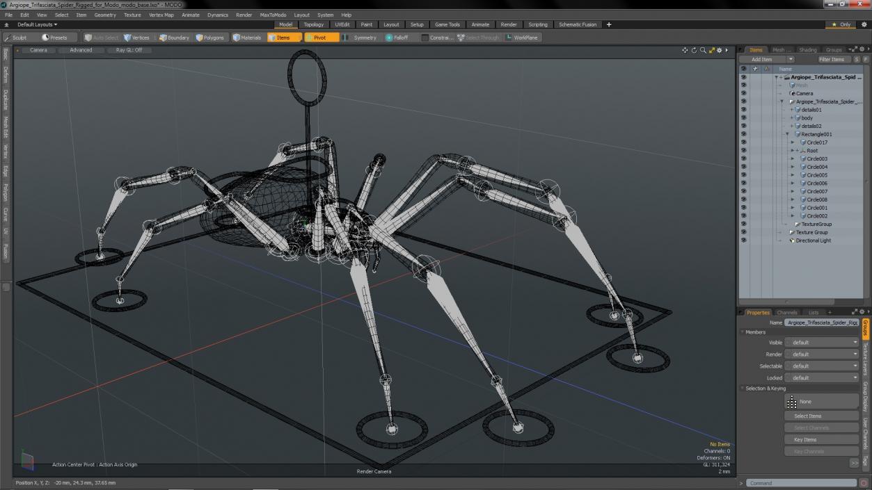 Argiope Trifasciata Spider Rigged for Modo 3D