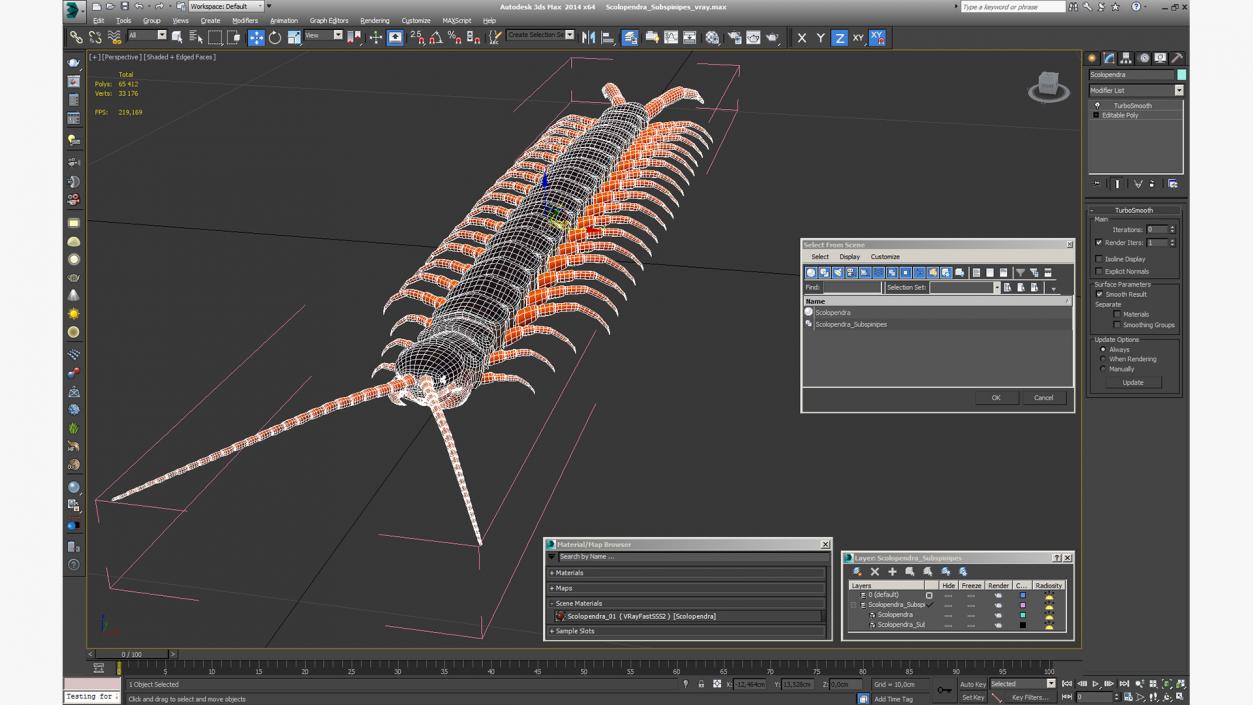 3D Scolopendra Subspinipes model