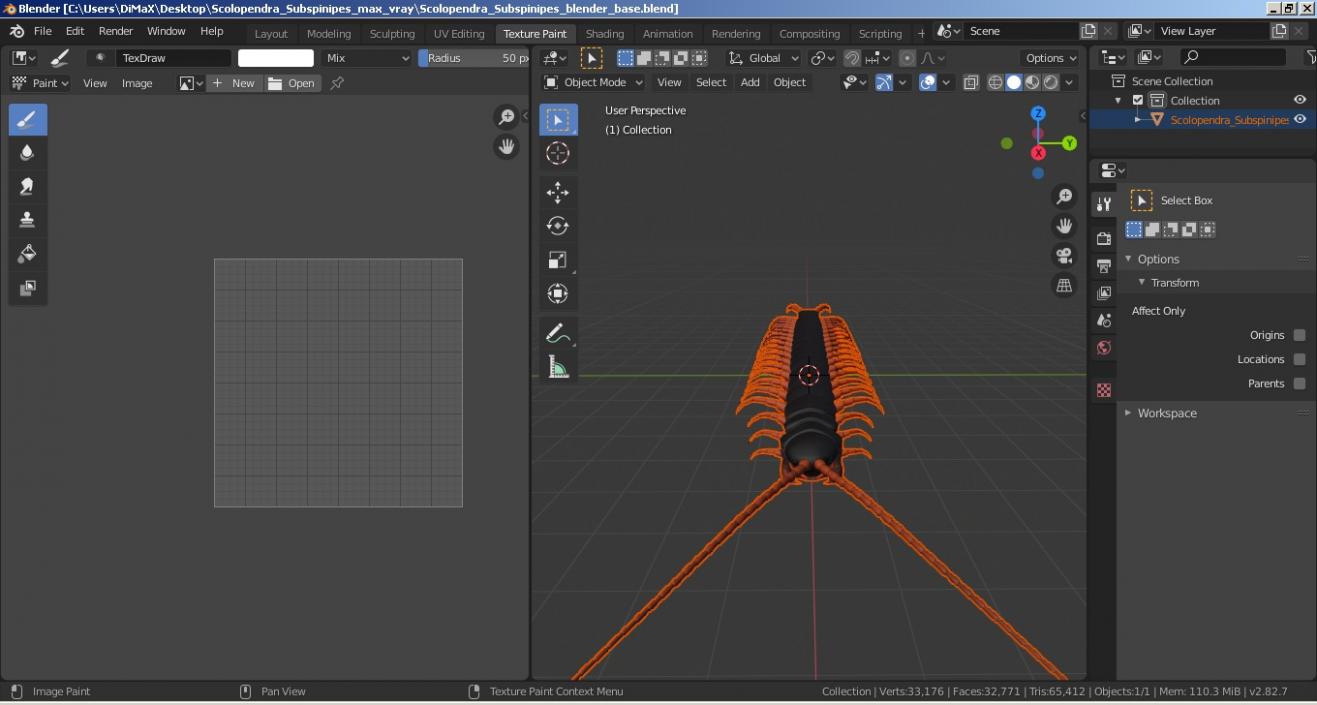 3D Scolopendra Subspinipes model