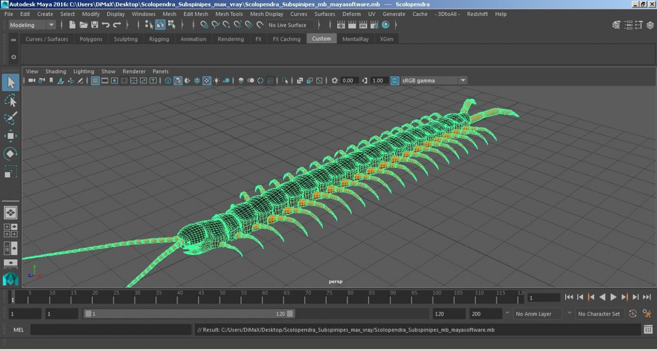 3D Scolopendra Subspinipes model