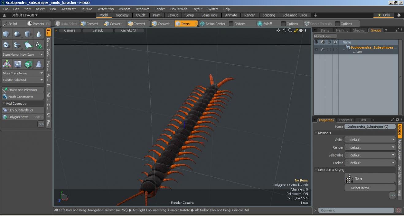 3D Scolopendra Subspinipes model