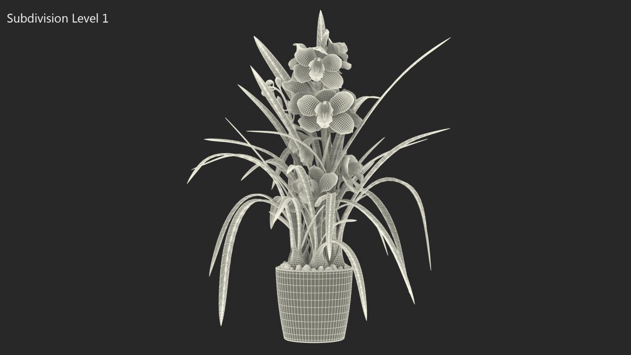 Orchid Pot Flower White Fur 3D