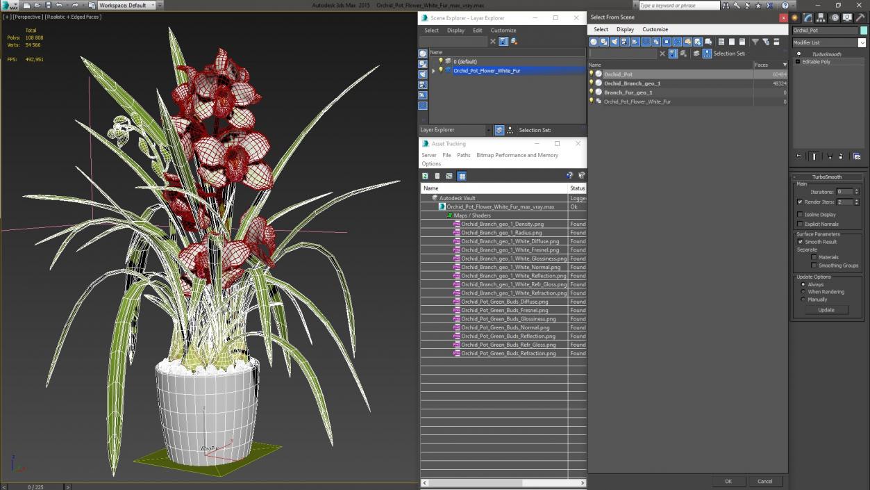 Orchid Pot Flower White Fur 3D