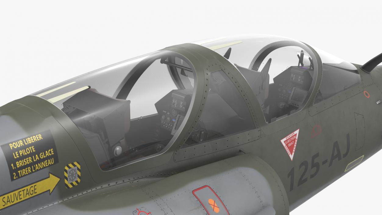 Mirage 2000N with Armament Camouflage Flight 3D model