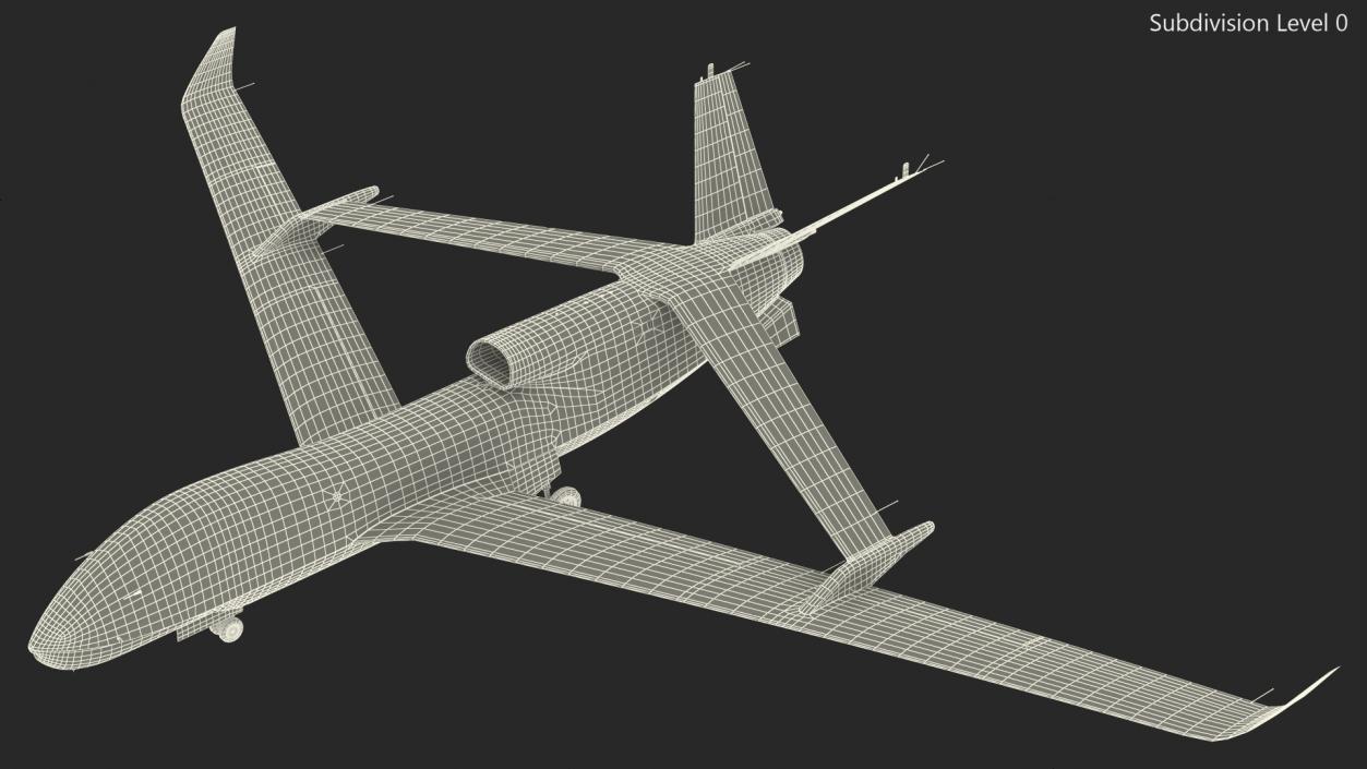 3D model High Altitude Long Endurance Patrol UAV Rigged for Maya