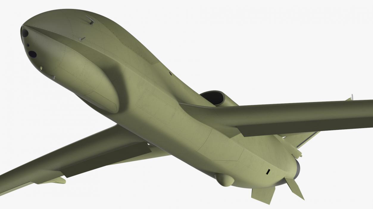 3D model High Altitude Long Endurance Patrol UAV Rigged for Maya