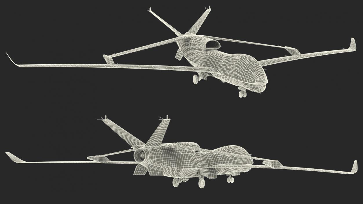 3D model High Altitude Long Endurance Patrol UAV Rigged for Maya