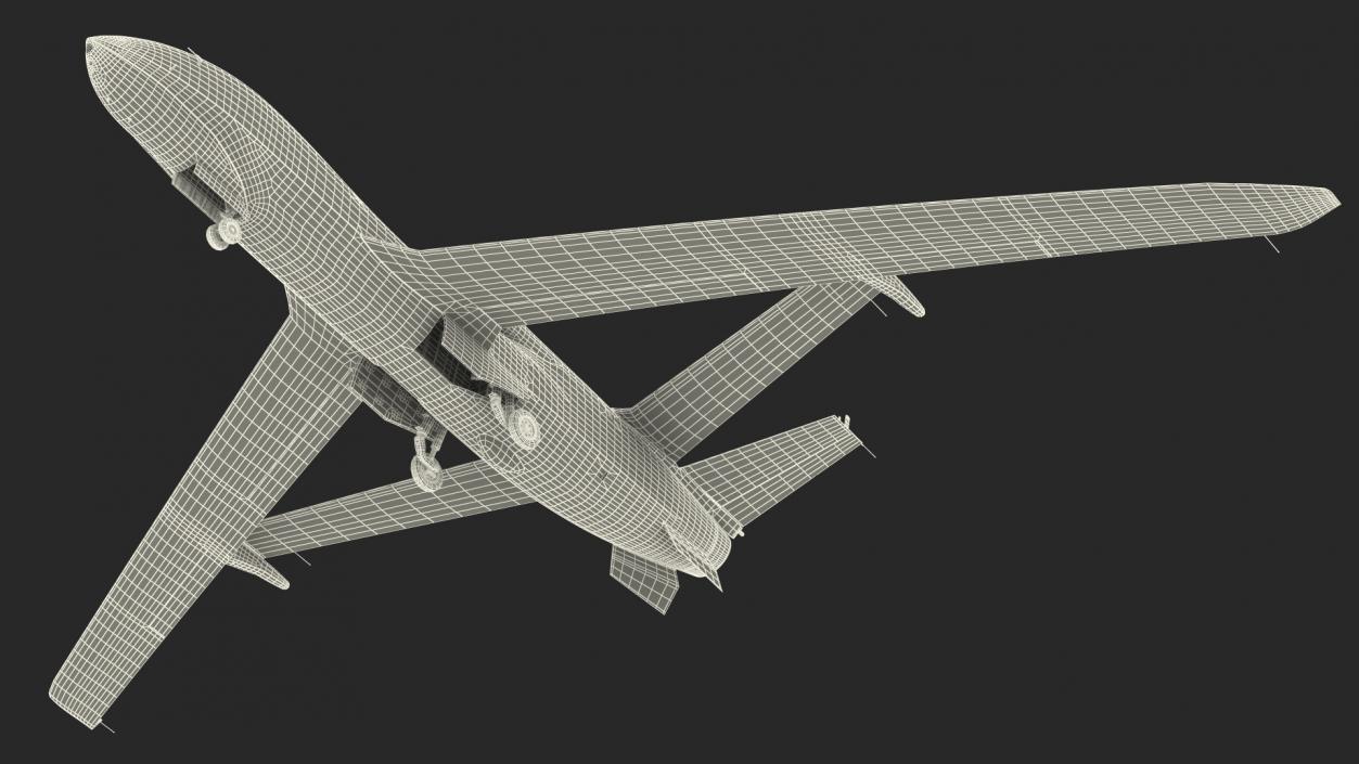 3D model High Altitude Long Endurance Patrol UAV Rigged for Cinema 4D