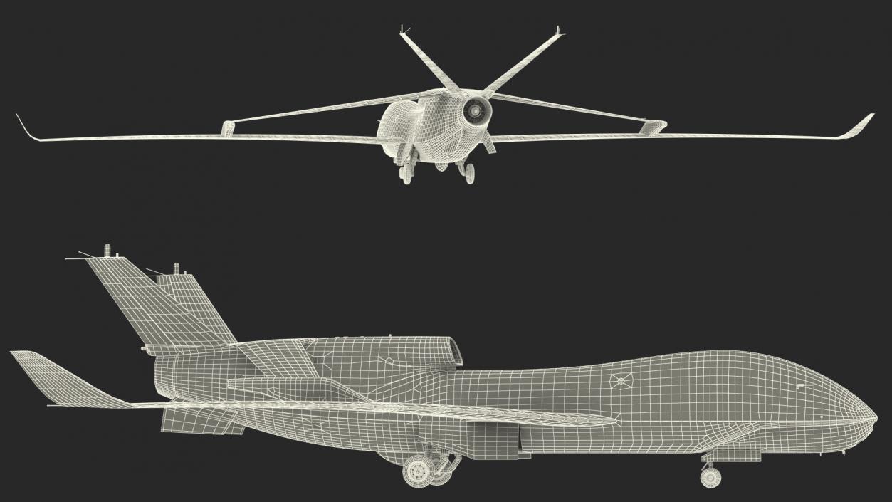 3D model High Altitude Long Endurance Patrol UAV Rigged for Maya