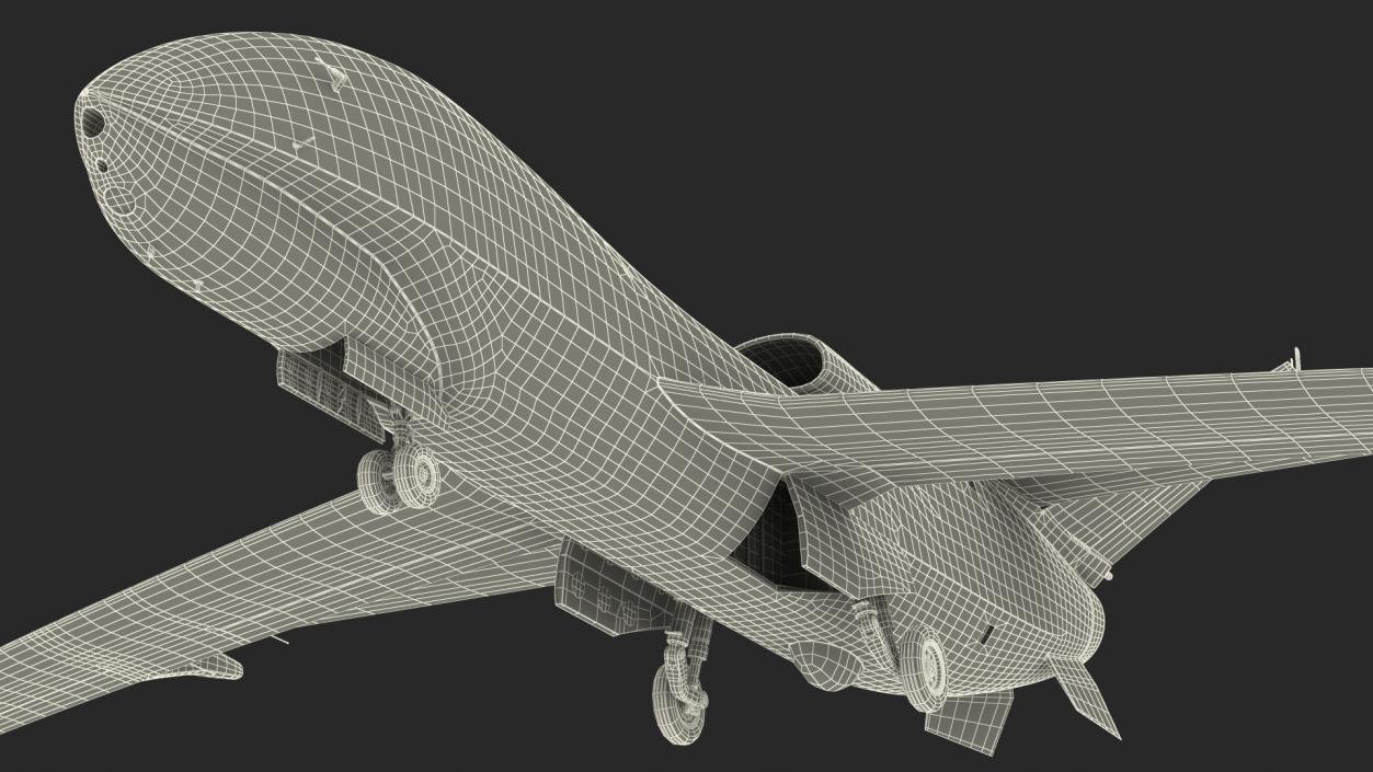 3D model High Altitude Long Endurance Patrol UAV Rigged for Maya