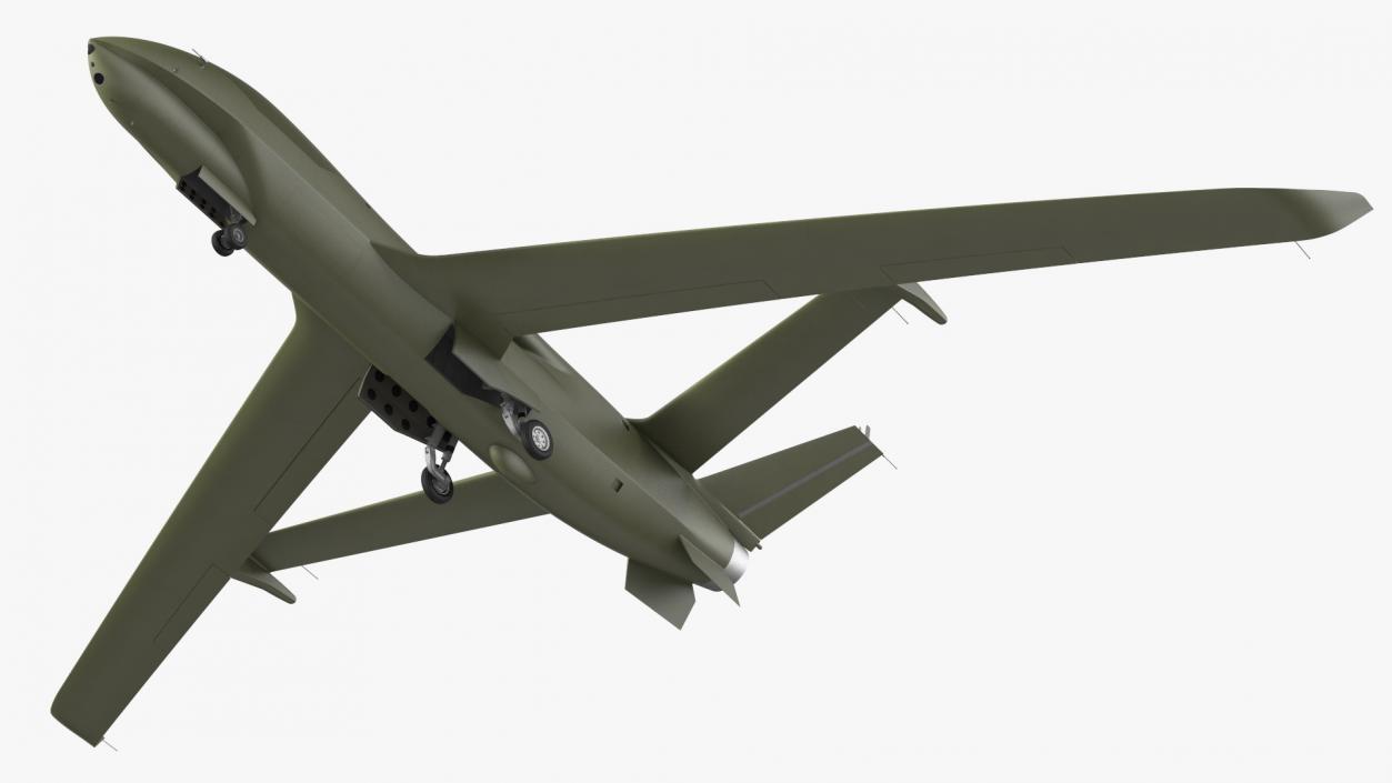 3D model High Altitude Long Endurance Patrol UAV Rigged for Maya