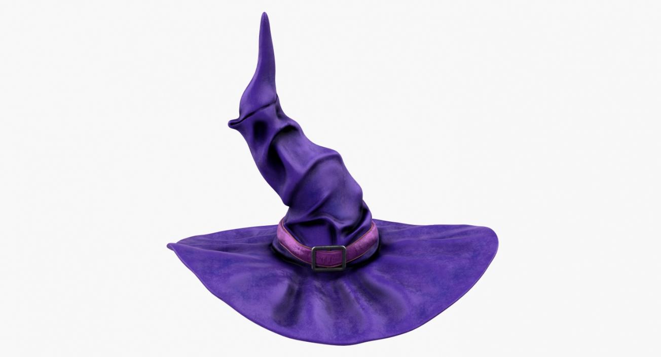 3D Halloween Witch Hat Purple