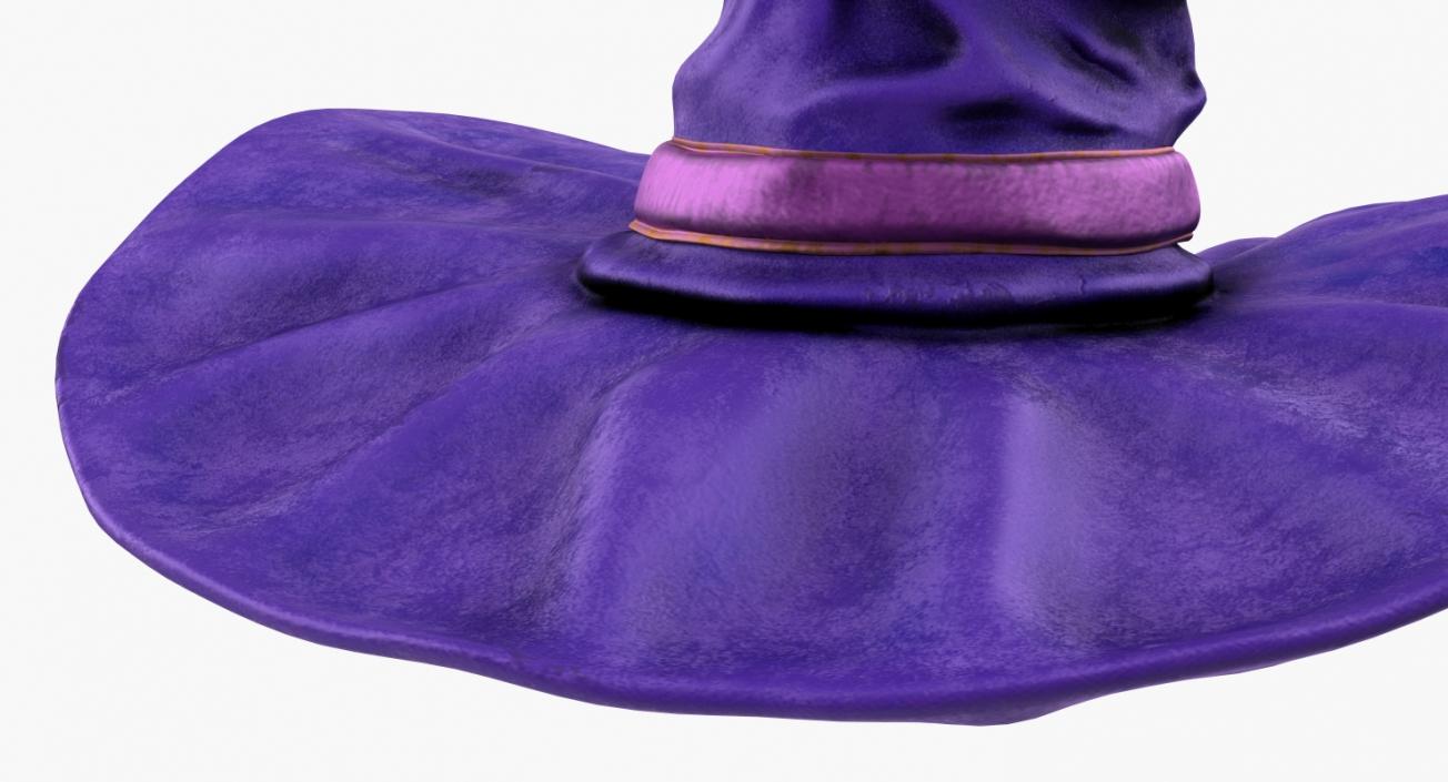 3D Halloween Witch Hat Purple