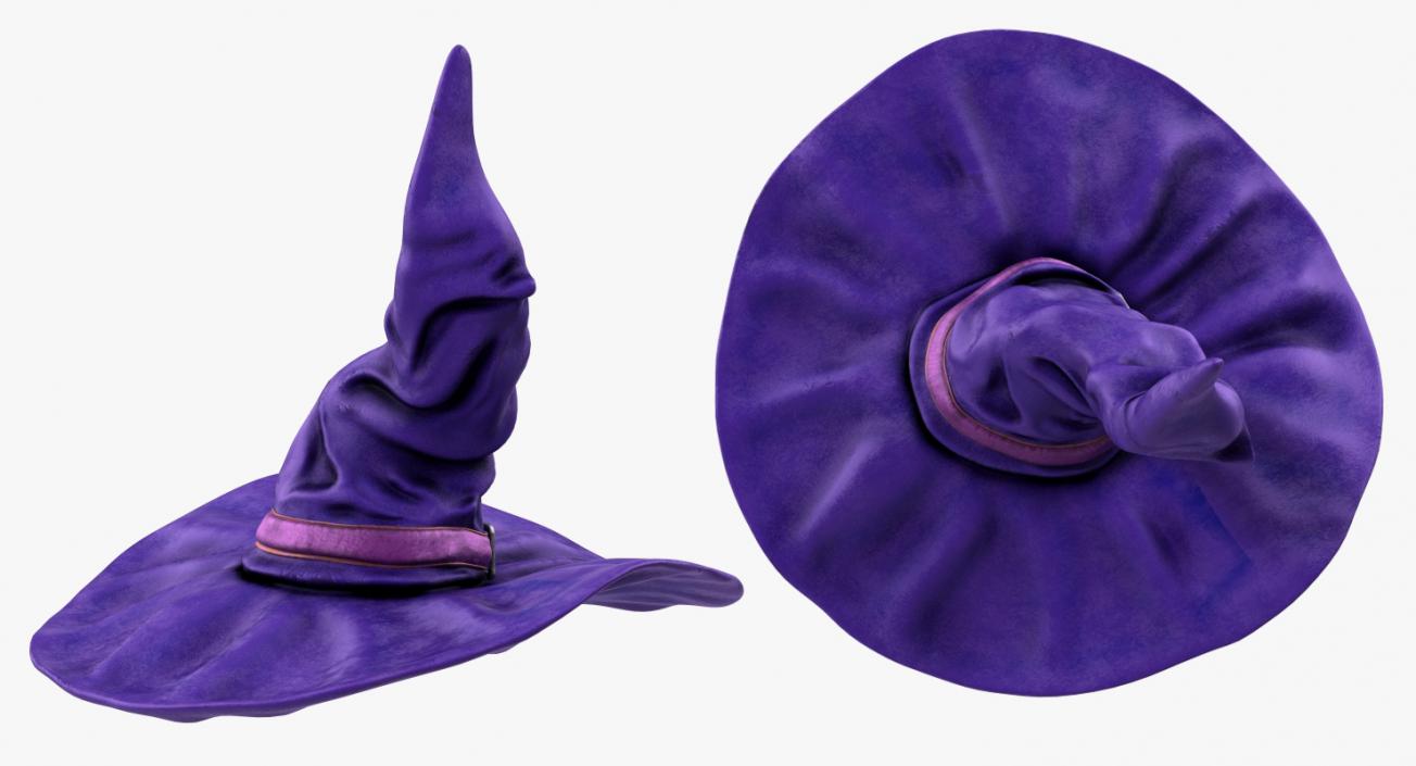 3D Halloween Witch Hat Purple