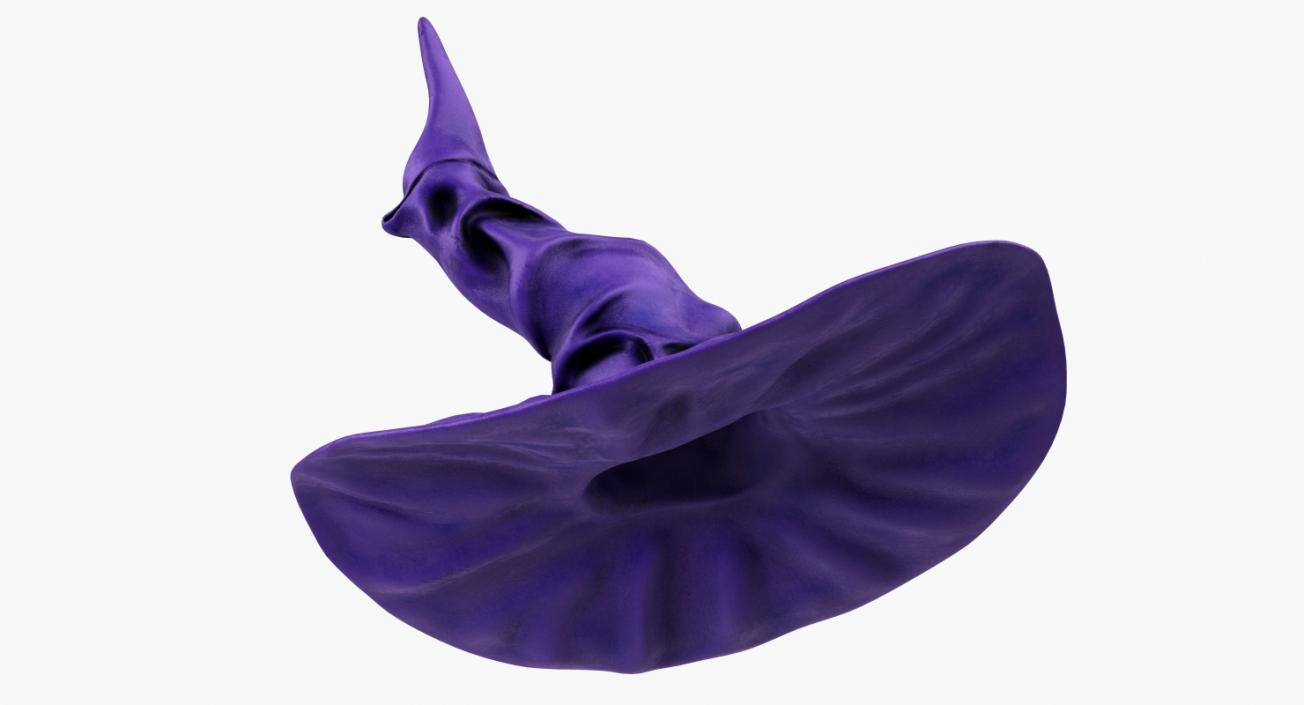 3D Halloween Witch Hat Purple