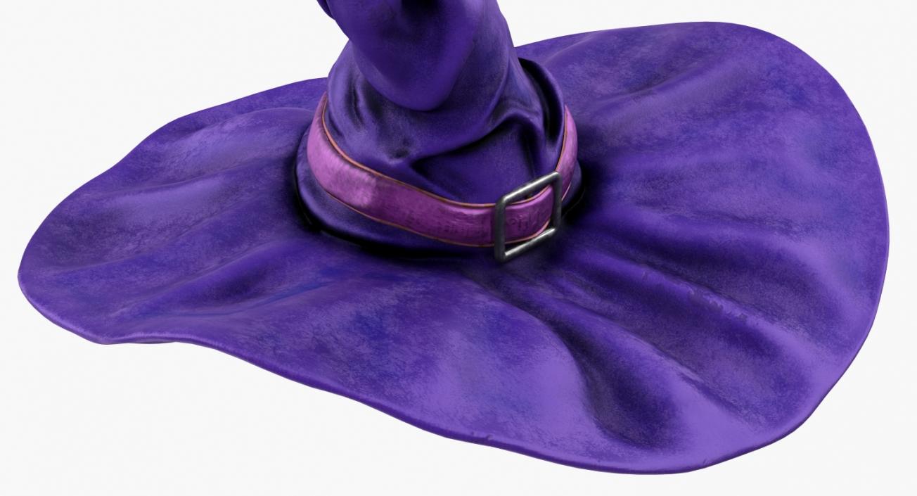 3D Halloween Witch Hat Purple