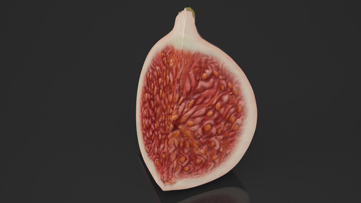 Fresh Riped Fig Fruit Quarter 3D model