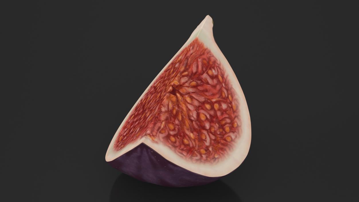 Fresh Riped Fig Fruit Quarter 3D model