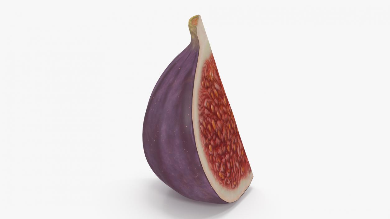 Fresh Riped Fig Fruit Quarter 3D model