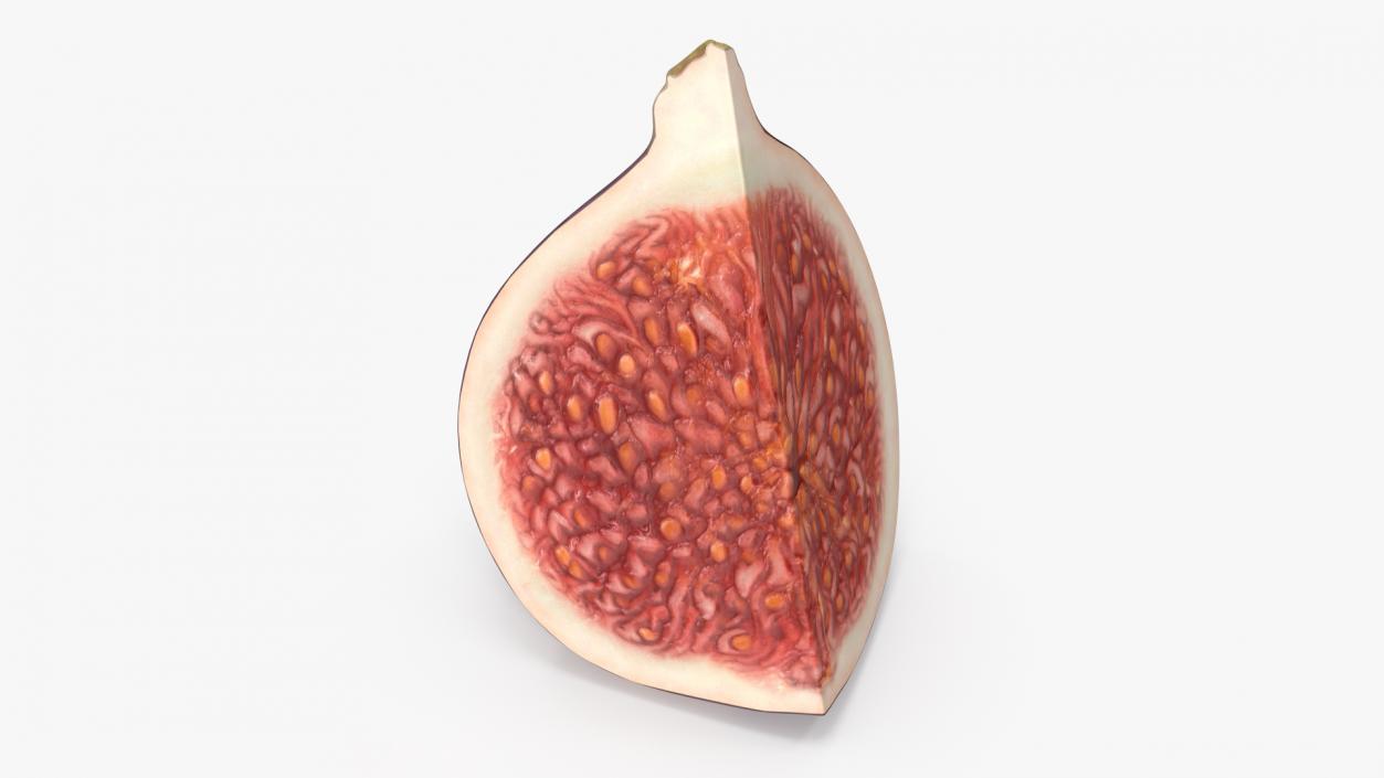 Fresh Riped Fig Fruit Quarter 3D model