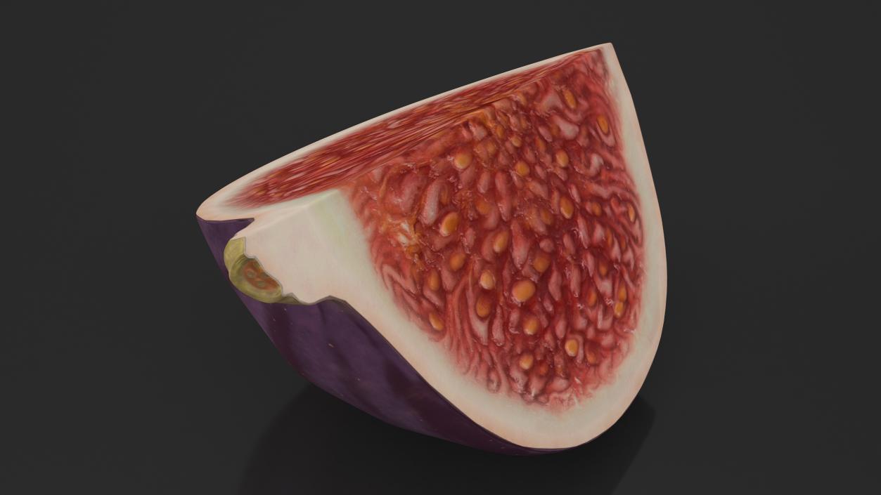 Fresh Riped Fig Fruit Quarter 3D model