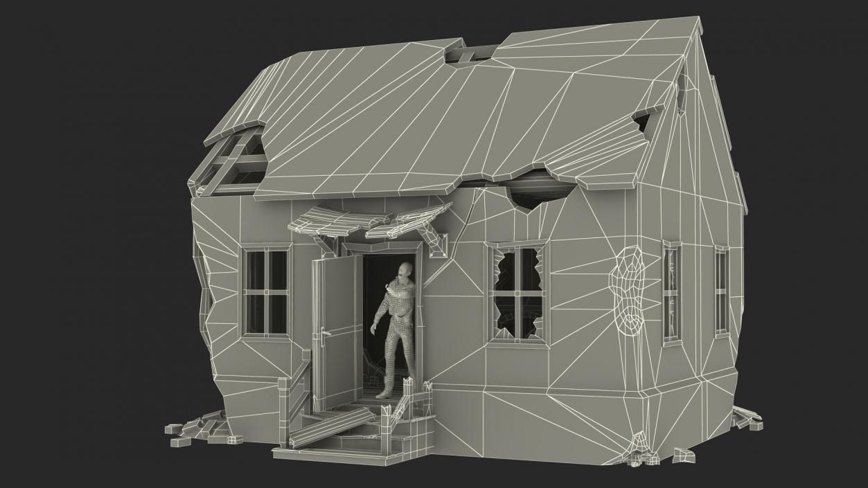 3D model Destroyed Zombie Country House