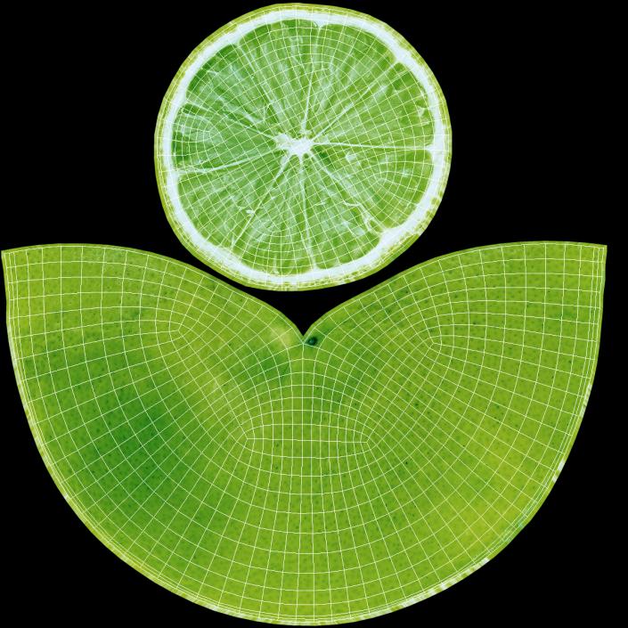 3D Green Lemon Half