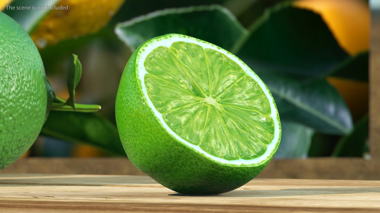 3D Green Lemon Half