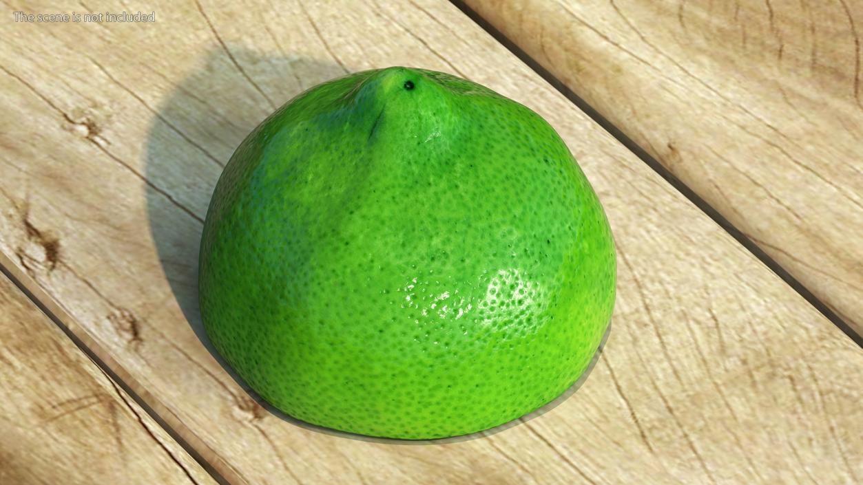 3D Green Lemon Half