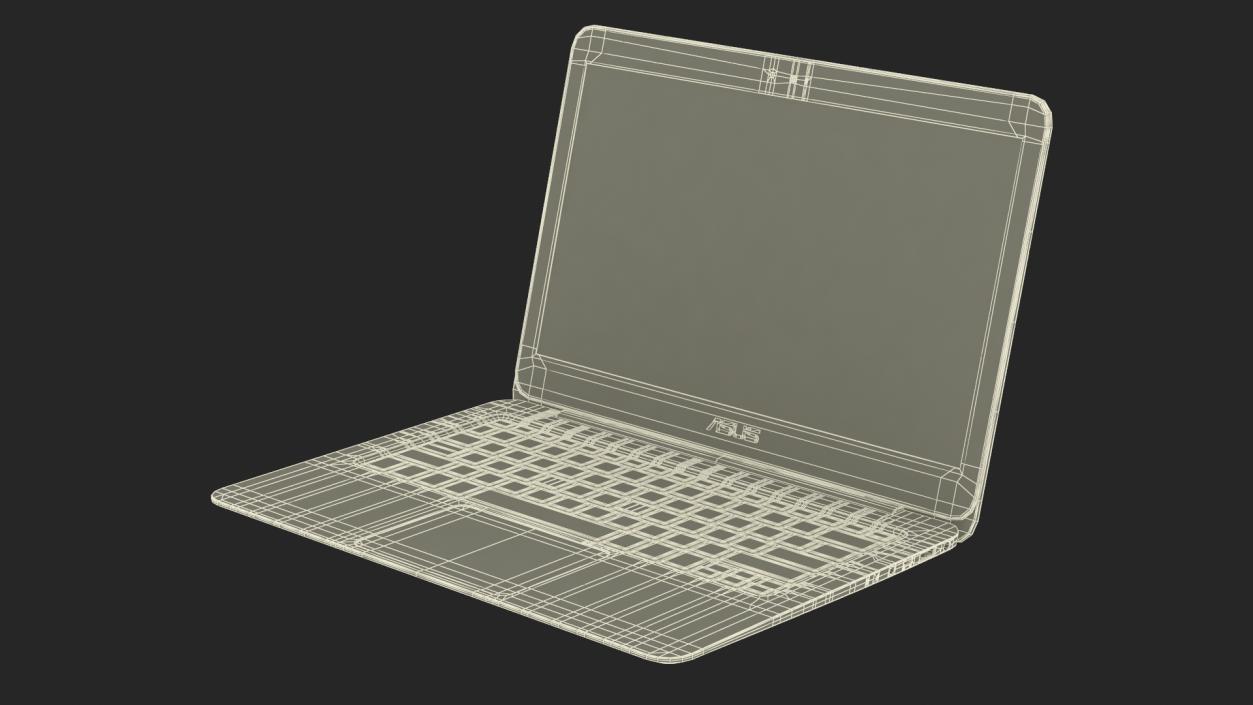 3D ASUS Laptop