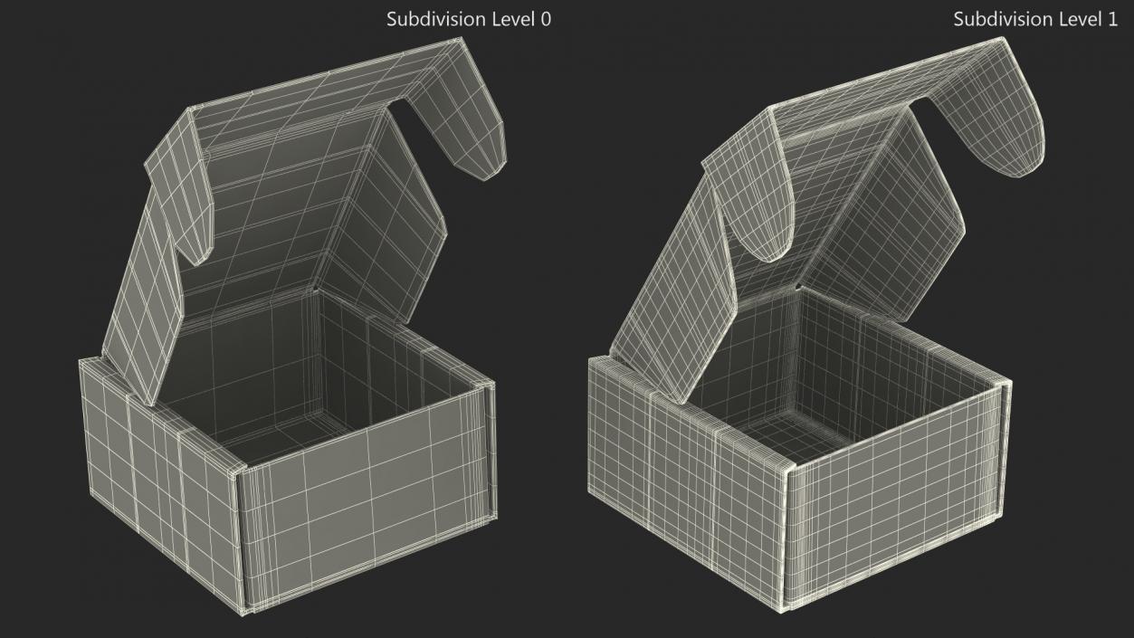 3D Cardboard Box Open model