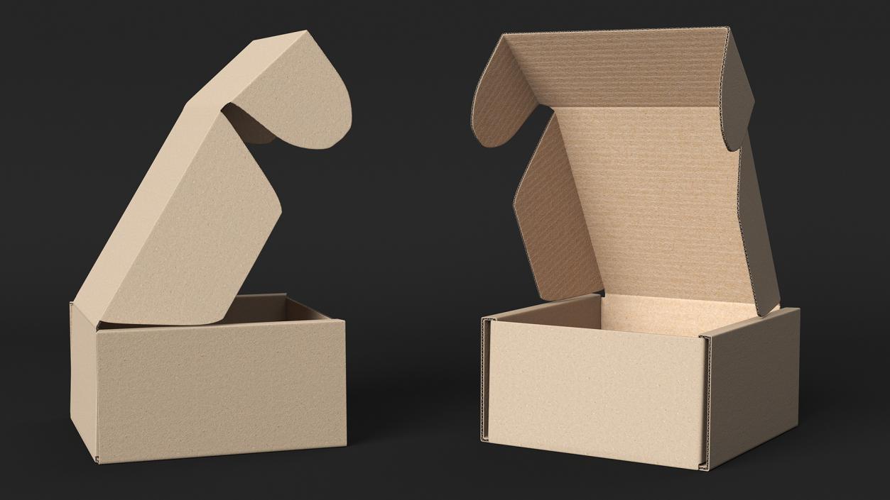 3D Cardboard Box Open model