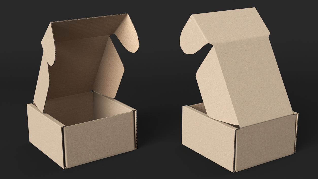 3D Cardboard Box Open model