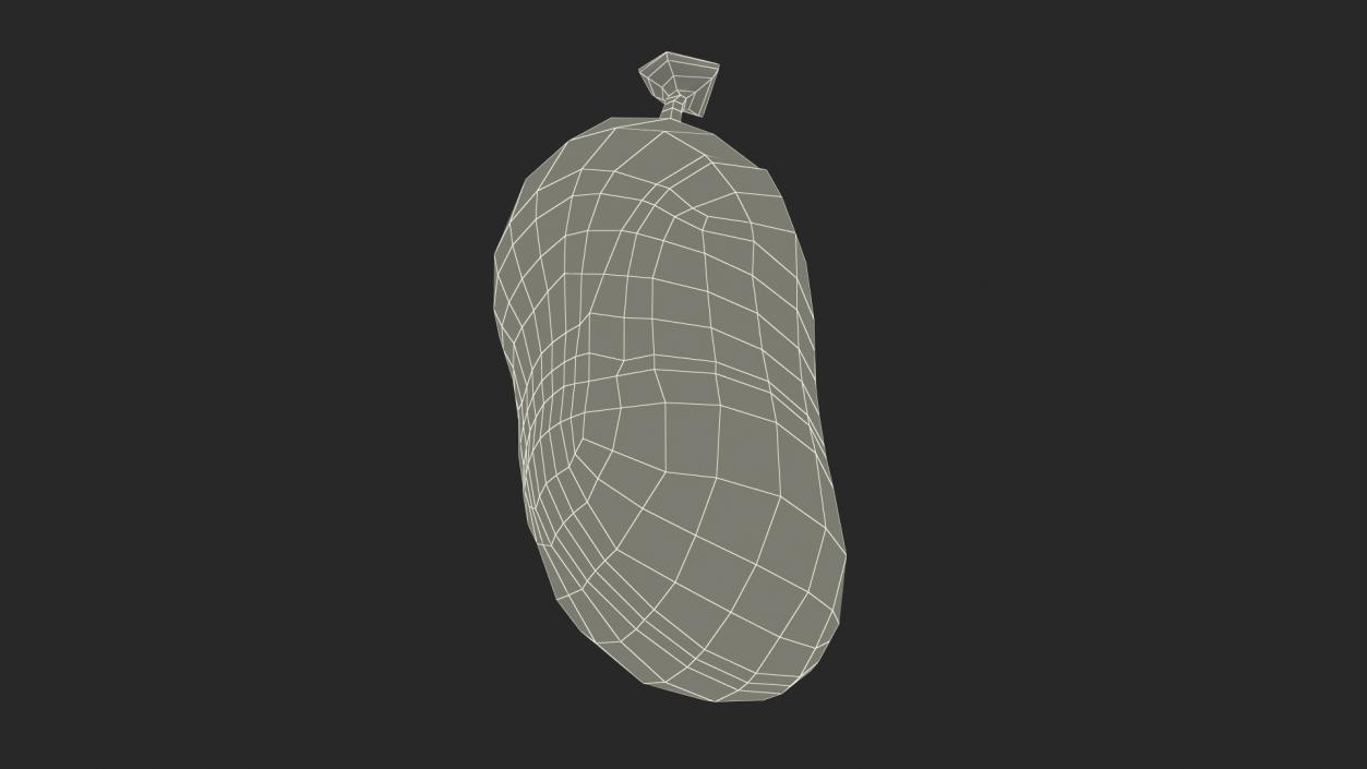 Monarch Butterfly Cocoon 3D model