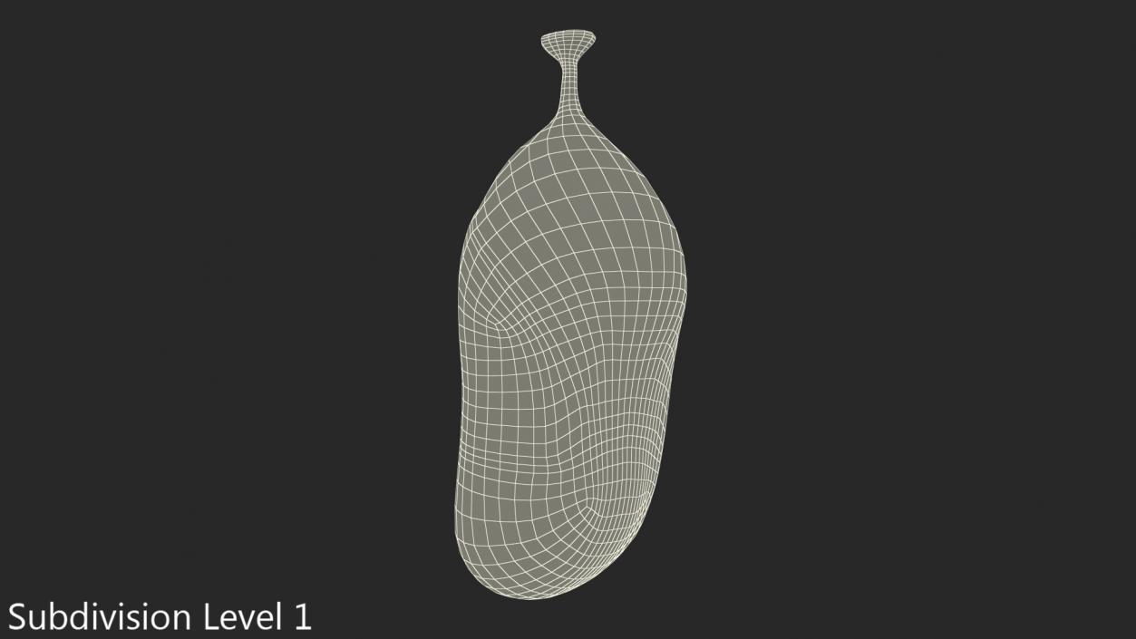 Monarch Butterfly Cocoon 3D model