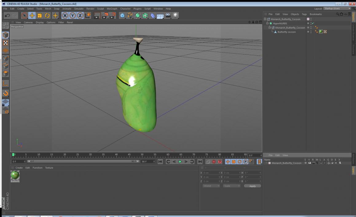 Monarch Butterfly Cocoon 3D model