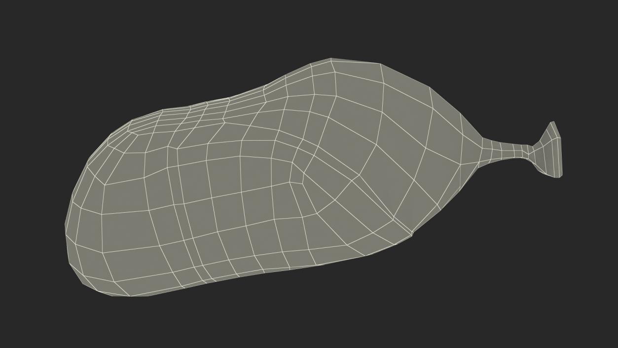 Monarch Butterfly Cocoon 3D model